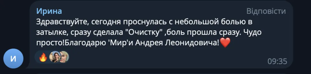 Отзыв Ирины о системе МИР